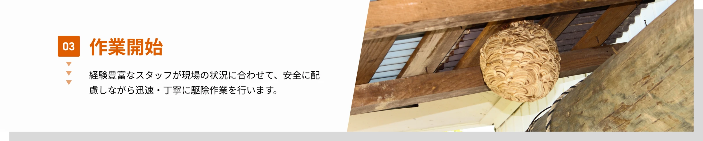 03 作業開始　経験豊富なスタッフが現場の状況に合わせて、安全に配慮しながら迅速・丁寧に駆除作業を行います。
