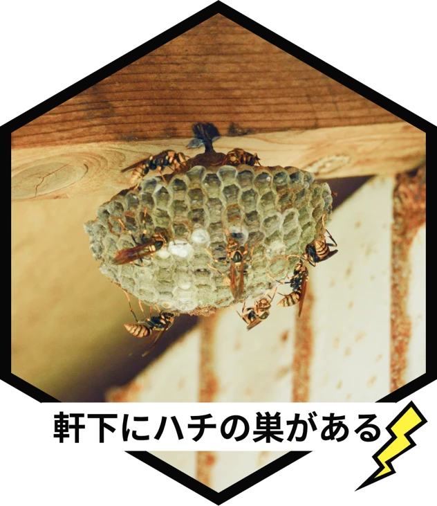 軒下にハチの巣がある