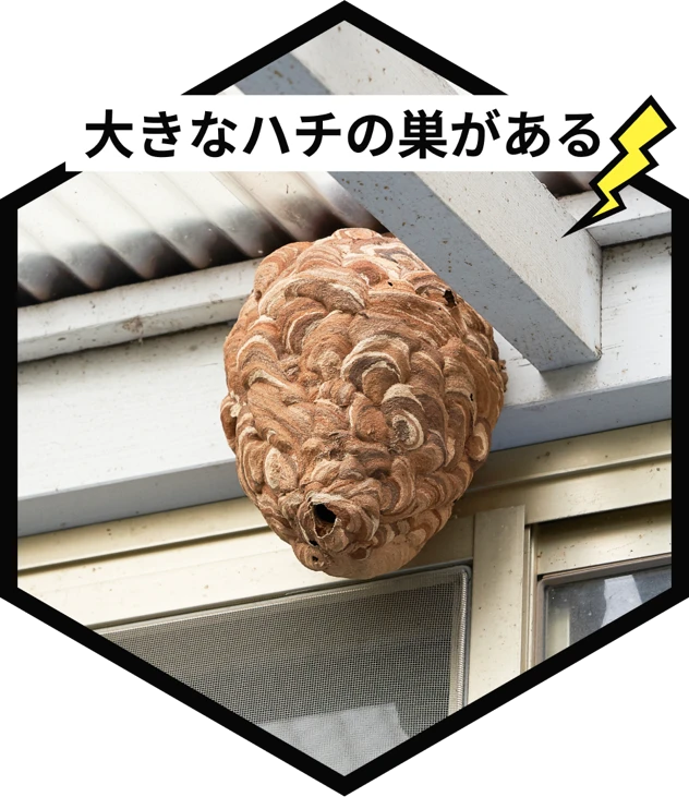 大きなハチの巣がある