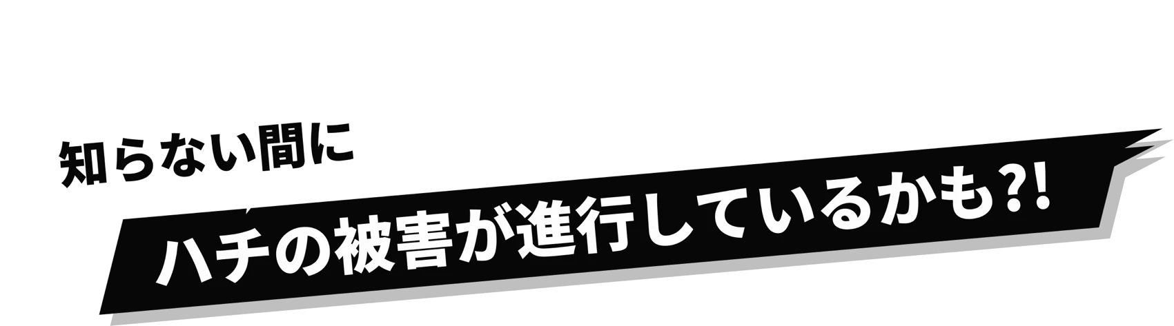 知らない間にハチの被害が進行しているかも?!
