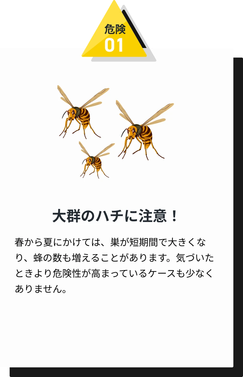 危険01 大群のハチに注意！ 春から夏にかけては、巣が短期間で大きくなり、蜂の数も増えることがあります。気づいたときより危険性が高まっているケースも少なくありません。